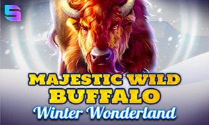 Majestic Wild Buffalo - Winter Wonderland